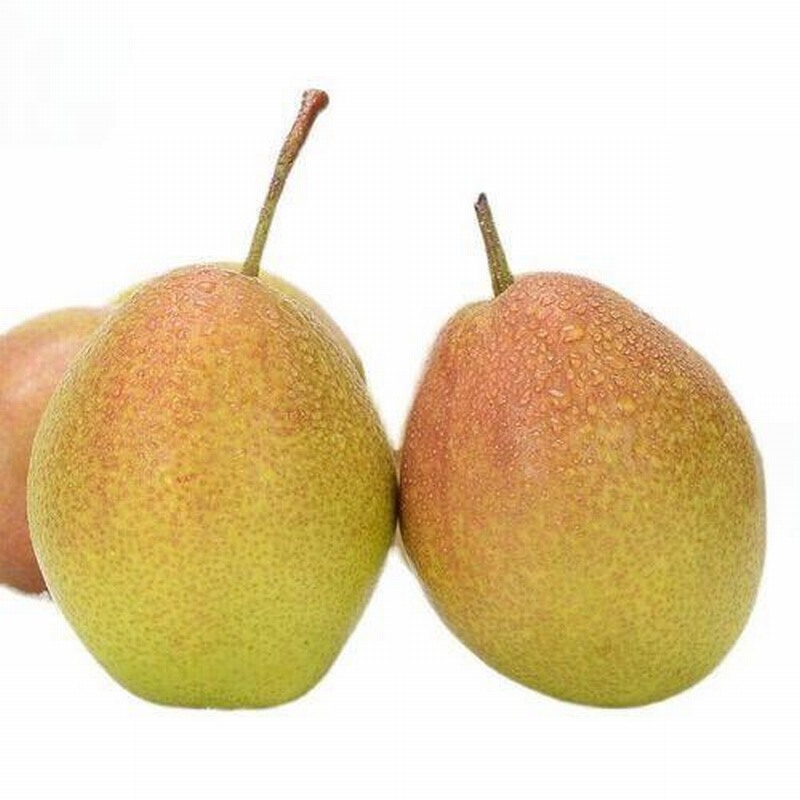 初春時(shí)節(jié)如何減衣不易感冒？早春