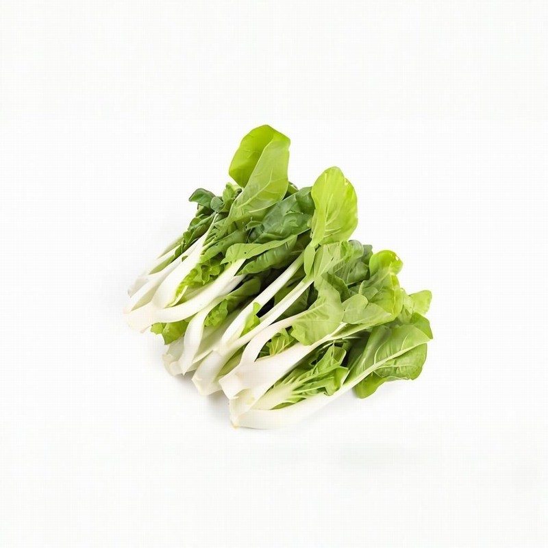 春風(fēng)帶起沙細(xì)心防眼病早春